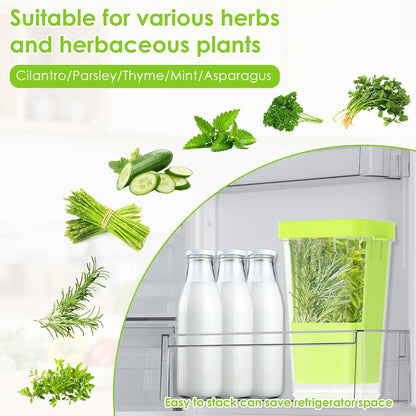 Fresh Herb Keeper for Refrigerator, 5.1x4.1x 9.06 in Clear Herb Saver, Fridge Asparagus Container, Fresh Herb Saver, Herb Storage Containers, for Cilantro, Parsley, Thyme, Asparagus(Green)