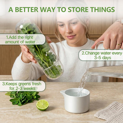 Herb Saver, Herb Keeper for Refrigerator, Cilantro Container for Fridge, Hard Shell Fresh Herb Storage for Asparagus, Parsley, Mint, Rosemary, Keeps Greens Fresh for 2-3 Weeks (3PCS)