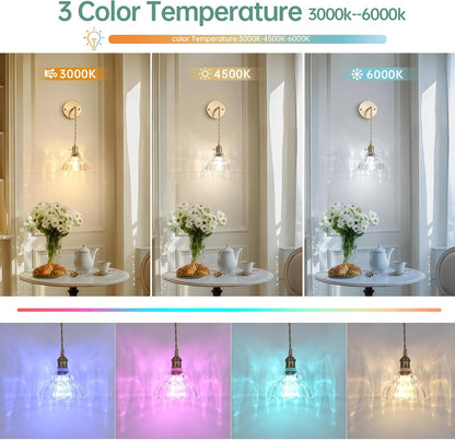 Shenmoyl Battery Operated Wall Sconce Wall Lamp with Green Lily of the Valley Shade Pattern Glass Adjustable Chain Retro Gold Wall Mounted Light, Modern Wall Lamp Fixtures Decor for Bedside Bedroom
