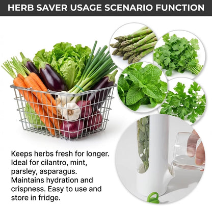 2Pcs Cilantro Container for Fridge, Transparent Herbs Saver fits Fridge Asparagus Parsley Mint Leaves, Keeps Greens Vegetables for 2-3 Weeks