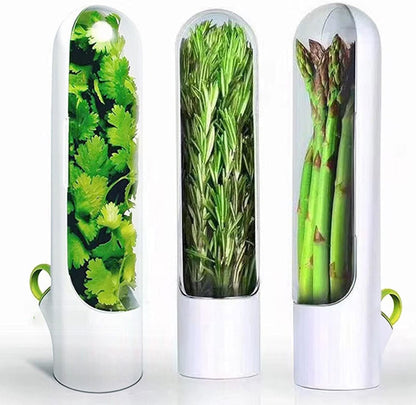 Agatige Cilantro Container for Fridge, 25cm Transparent Windows Vegetable Preservation Bottle Lettuce Keeper Containers for Cilantro Mint Parsley Asparagus