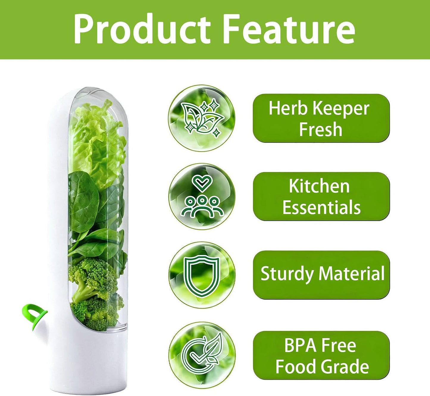 3 Pack Herb Saver for Fridge Cilantro Basil Storage Container | Fresh Herb Keeper with Removable Silicone Drain Plug，Vegetable Preservation Mint Extend Freshness Up to 2-3 Weeks