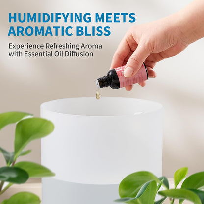 Clarston Humidifiers for Bedroom, 2L Cool Mist Humidifier, 24dB Quiet Sleep