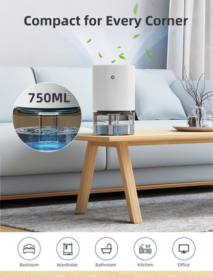 Small Dehumidifiers for Bathroom, Bedroom, Dorm Room, Home, RV, Closet, Wardrobe, Office, Portable Dehumidifier with Auto Shut Off, Auto Defrost, Colorful Light, Ultra Quiet, Energy Saving, 35 OZ | Ultra Quiet & Energy Saving with Auto Shut Off, Auto