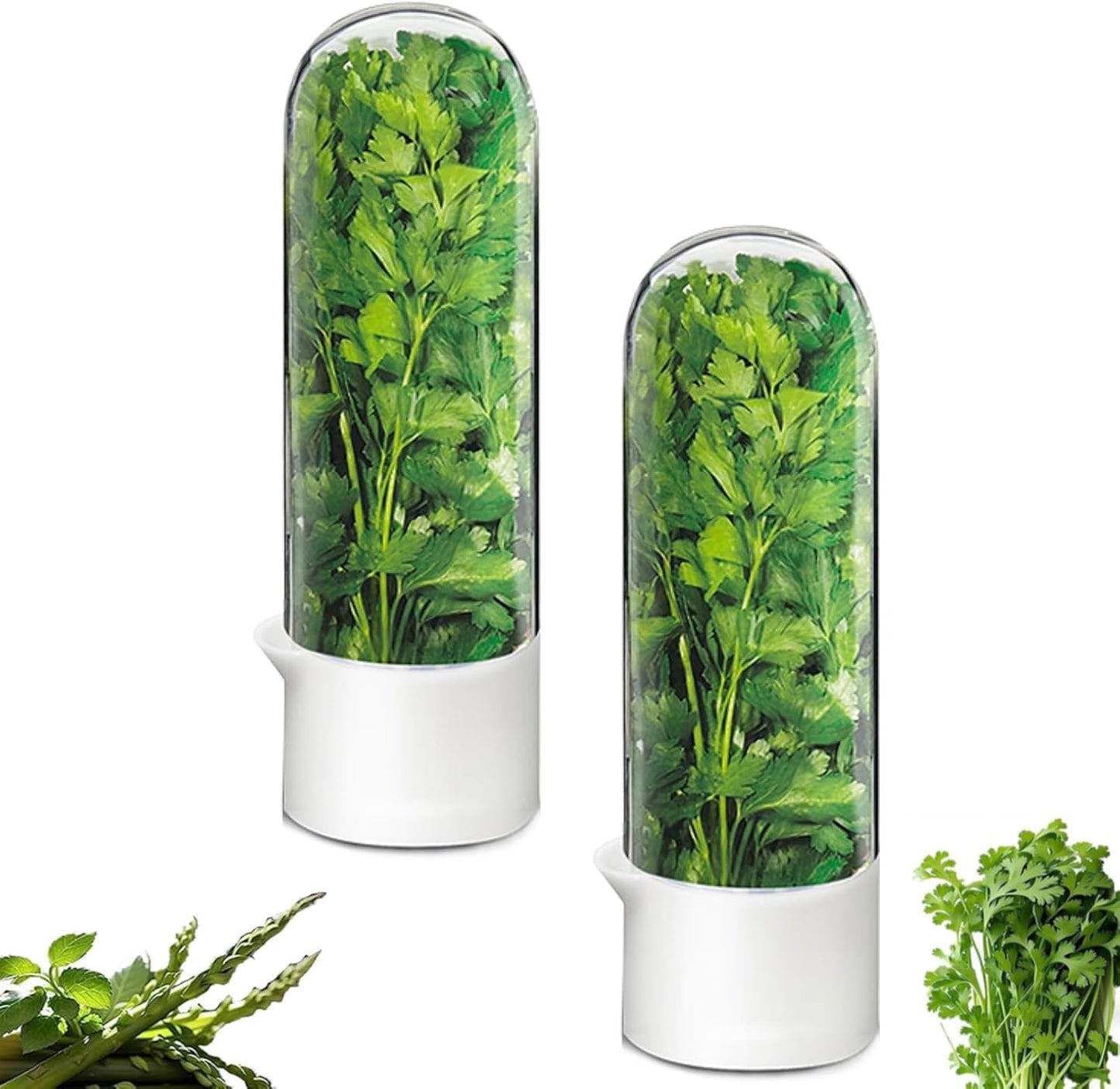 Herb Saver for Refrigerator - Herb Keeper & Cilantro Container for Fridge | Vegetable Preservation Storage Container for Cilantro, Basil, Asparagus | Extends Freshness Up to 2-3 Weeks