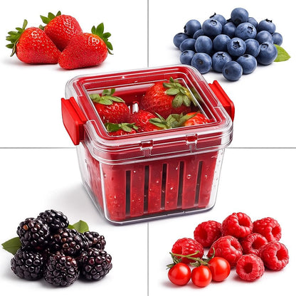 Home & Style Produce Storage Container with Colander – Rinse, Drain & Keep Fruits Fresh – BPA-Free Fridge Fruit Saver with Lid – Ideal for Strawberries, Blueberries & Vegetables
