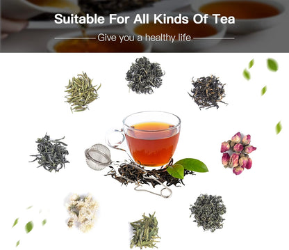 Snap Ball Tea Strainer, Exptolii 3 Pack Stainless Steel Tea Infuser Filter with Handle for Loose Leaf Tea, Spices, Seasonings