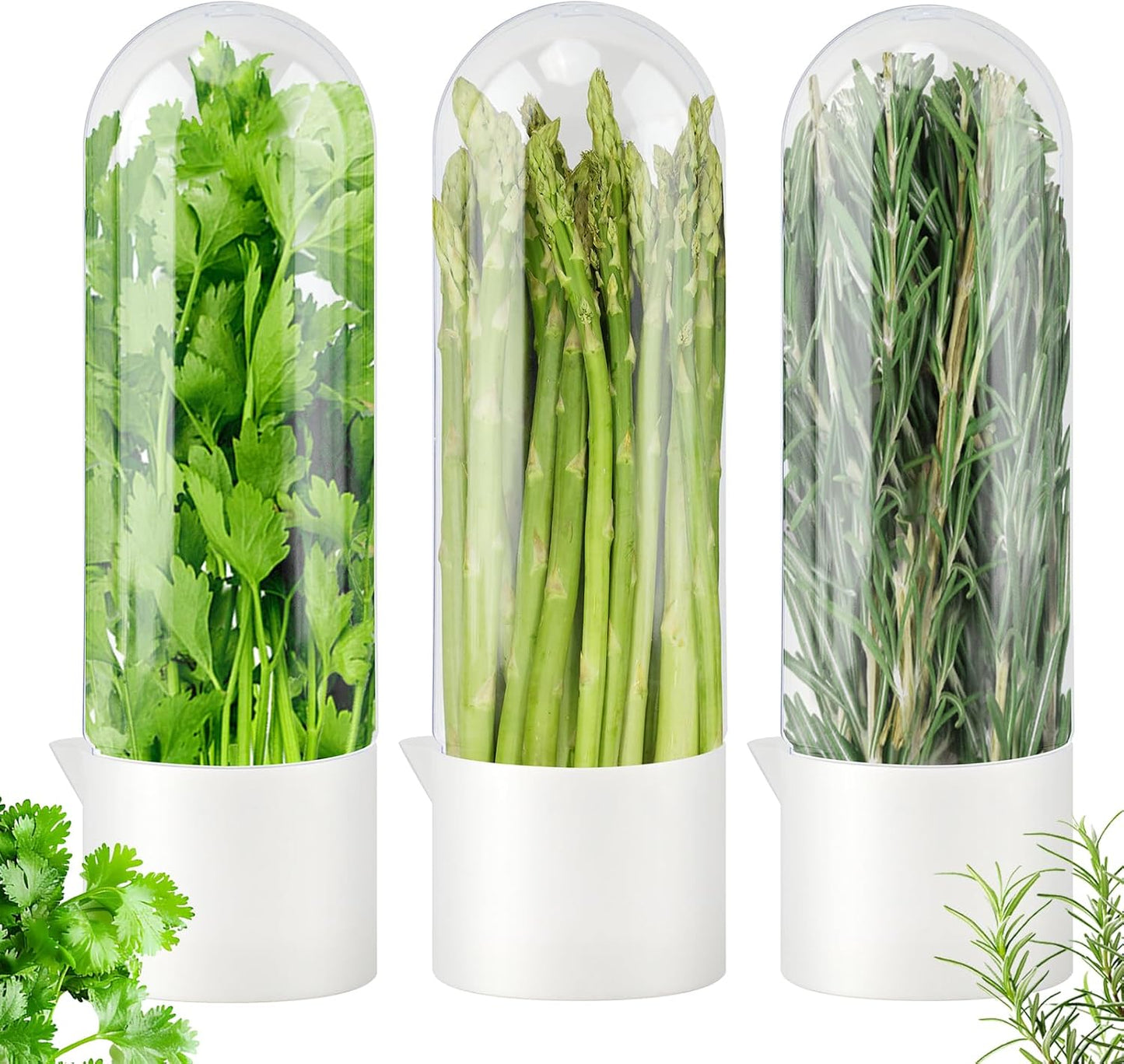 Fresh Herb Keeper for Refrigerator, Clear Herb Saver Pod Vegetable Preservation Storage Container for Cilantro Parsley Asparagus Mint, Extends Freshness Up to 2-3 Weeks(Herb Keeper 3 pcs)