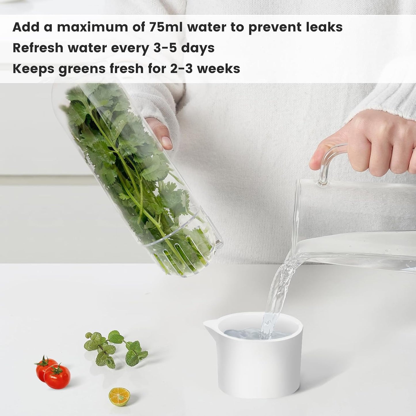 Herb Keeper for Refrigerator, Herb Saver for Refrigerator, Cilantro Container, Vegetable Preservation Bottle for Cilantro, Mint, Parsley, Asparagus, Keeps Greens Fresh for 2-3 Weeks (2PCS)