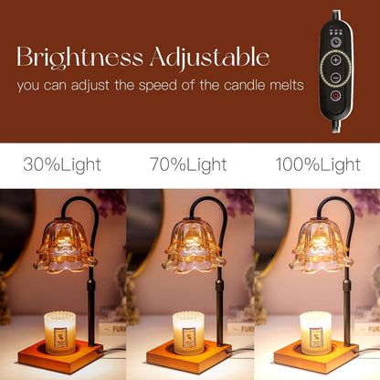 Candeldo Candle Warmer Lamp with Timer, Gold Flower Glass Shade