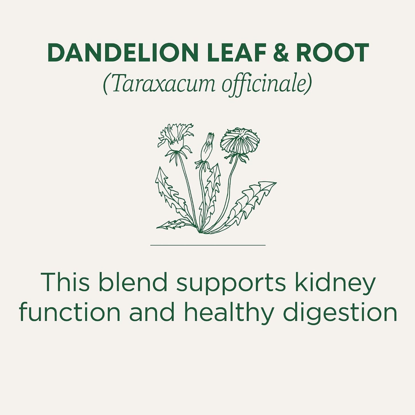 Traditional Medicinals Organic, Dandelion Leaf & Root - Dandelion Root Tea, Supports Normal Detox + Digestion - Kosher, Non-GMO, Caffeine-Free, Compostable - 16 Tea Bags