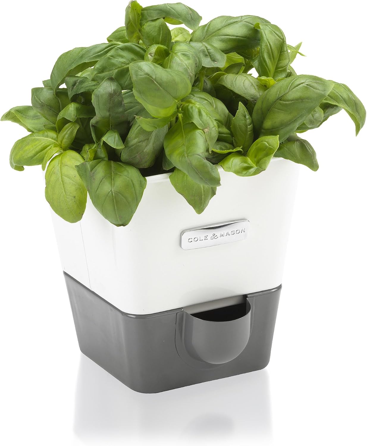 Cole & Mason Fresh Herb Keeper - Acrylic Storage Container for Refrigerator - Storage for Herbs & Vegetables for Fridge - Fresh Herb Keeper