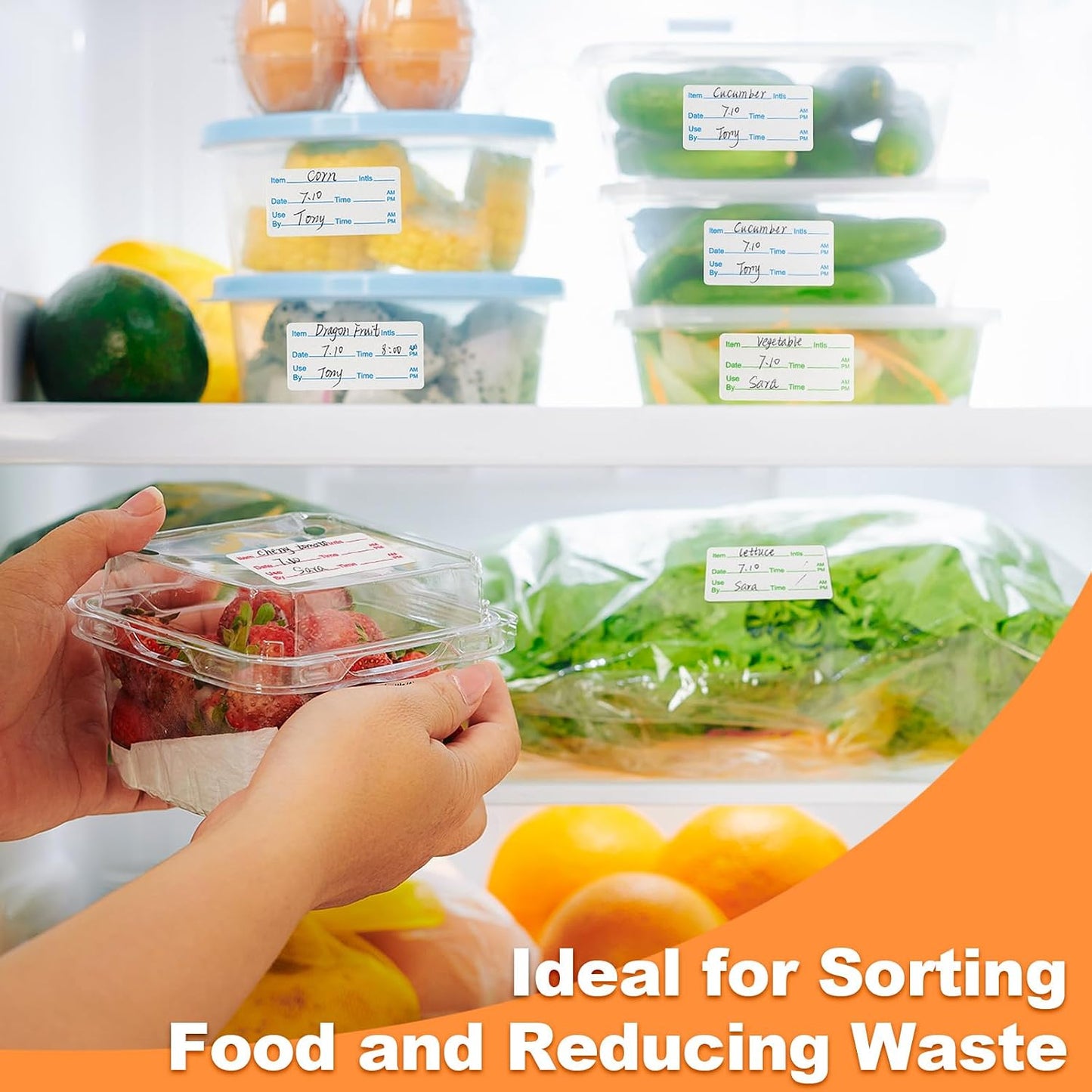 Harloon 6 Rolls 3000 Pcs Dissolvable Food Labels 1 x 2 Inch Removable Food Container Labels Stickers for Container Bottle Kitchen Restaurant Use, 3 Colors