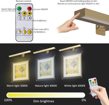 MIOBLUE Rechargeable Picture Lights with Remote,Full Metal Painting Light Display LED Battery Lamp with 3 Lighting Modes, Dimmable Dartboard Light with Timer for Frame Portrait Art
