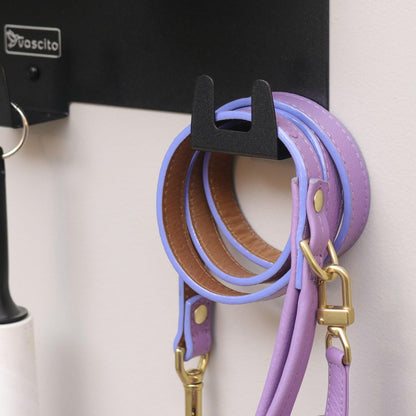 Dog Leash Holder for Wall with Shelf — Wall Mounted Dog Treat Holder & Station, 2 Airtight 32oz Treat Containers, 9 Hooks, Patented Lidless Slide-to-Seal Jars, Solid Steel, Made in USA