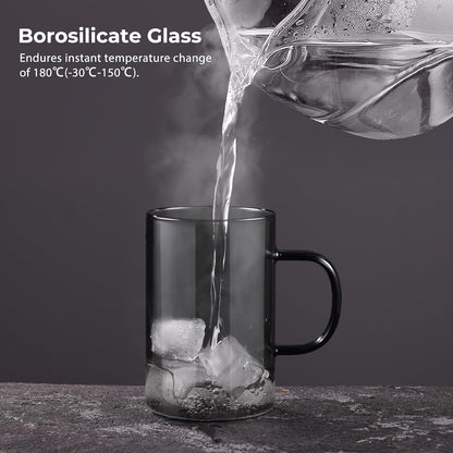 ecooe 16.9 OZ Borosilicate Glass Tea Mug Cup Glasses with Stainless Steel Infuser & Lid, Loose Leaf Tea Cup Clear Teacup 430mL(Use Capacity) | 500ml, Clear Glass Tea Cup, with Stainless Steel Infuser/Lid, Teacup for Loose Leaf Tea, Birthday for Parents