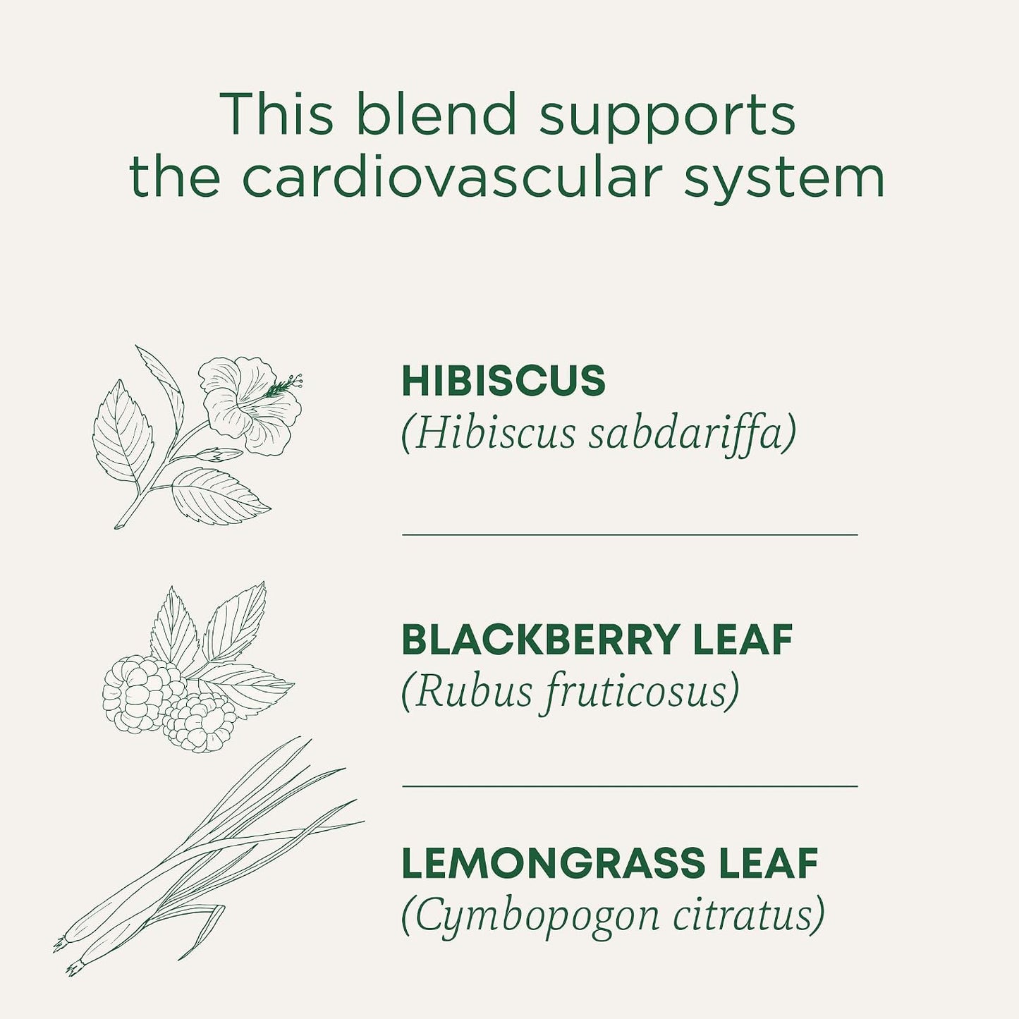 Traditional Medicinals Organic, Hibiscus Tea - Supports Normal Heart Health & Cardiovascular Wellness - Kosher, Non-GMO, Caffeine-Free, Compostable - 16 Tea Bags