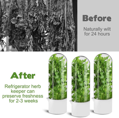 3 Pack Herb Saver for Refrigerator Large Fresh Herb Keeper Cilantro Container for Refrigerator Vegetable Preservation Container for Cilantro Asparagus Mint Rosemary Parsley Basil for 2-3 Weeks