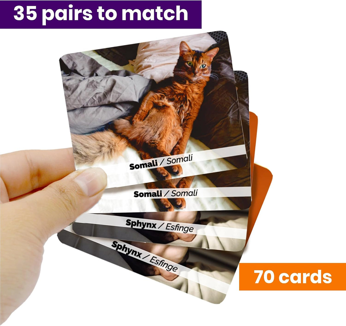Menique Explore the World Memory Matching Game – Geography Game with 100 Photo Cards, 50 Countries, Flags & Landmarks – Travel Card Game with Educational Booklet, Ages 3+