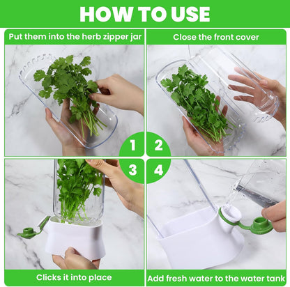 2 Pcs Refrigerator Fresh Green Keeper for Cilantro, Parsley, Asparagus – White Round Pod Container with Silicone Seal, 10.6 x 5.12 x 2.87 Inches, Keeps Greens Fresh Up to 3 Weeks
