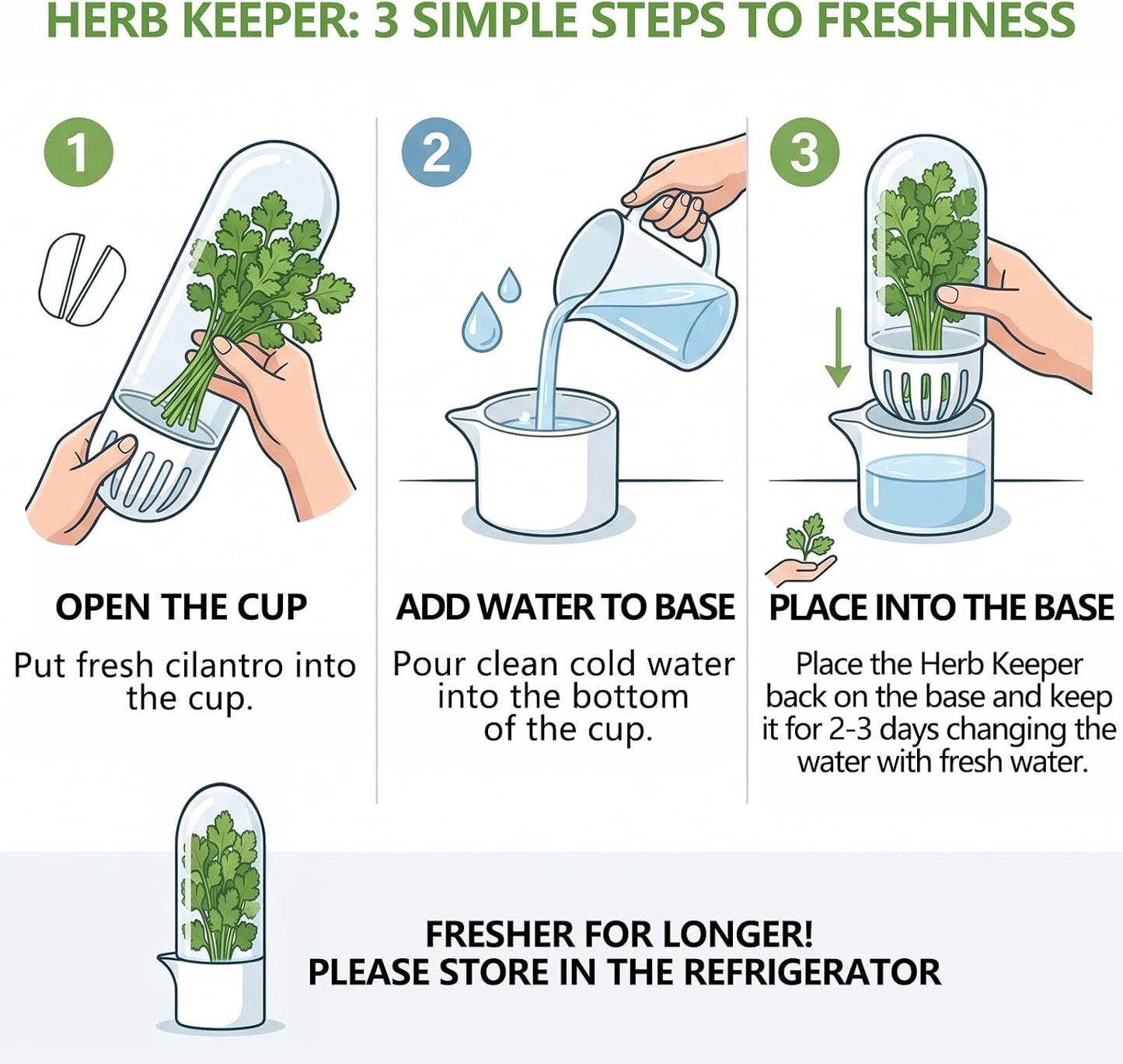 Herb Saver, Herb Keeper for Refrigerator, Cilantro Container for Fridge, Hard Shell Fresh Herb Storage for Asparagus, Parsley, Mint, Rosemary, Keeps Greens Fresh for 2-3 Weeks (3PCS)