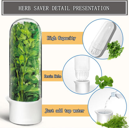 Herb Saver for Refrigerator, Cilantro Container for Fridge, Fresh Herbs Lettuce Keeper for Refrigerator Parsley Mint Leaves Fresh Herb Keeper, Refrigerato Storage for Fresh for 2-3 Weeks