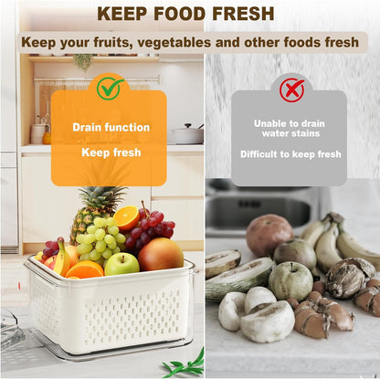 Dayacoco Fruit Storage Containers for Fridge 4 Pcs with Drain Basket | Fridge organizers & storage - 4 fruit containers w/ drain baskets, BPA-free PP, leak-proof seal, stackable, DW/MW safe.