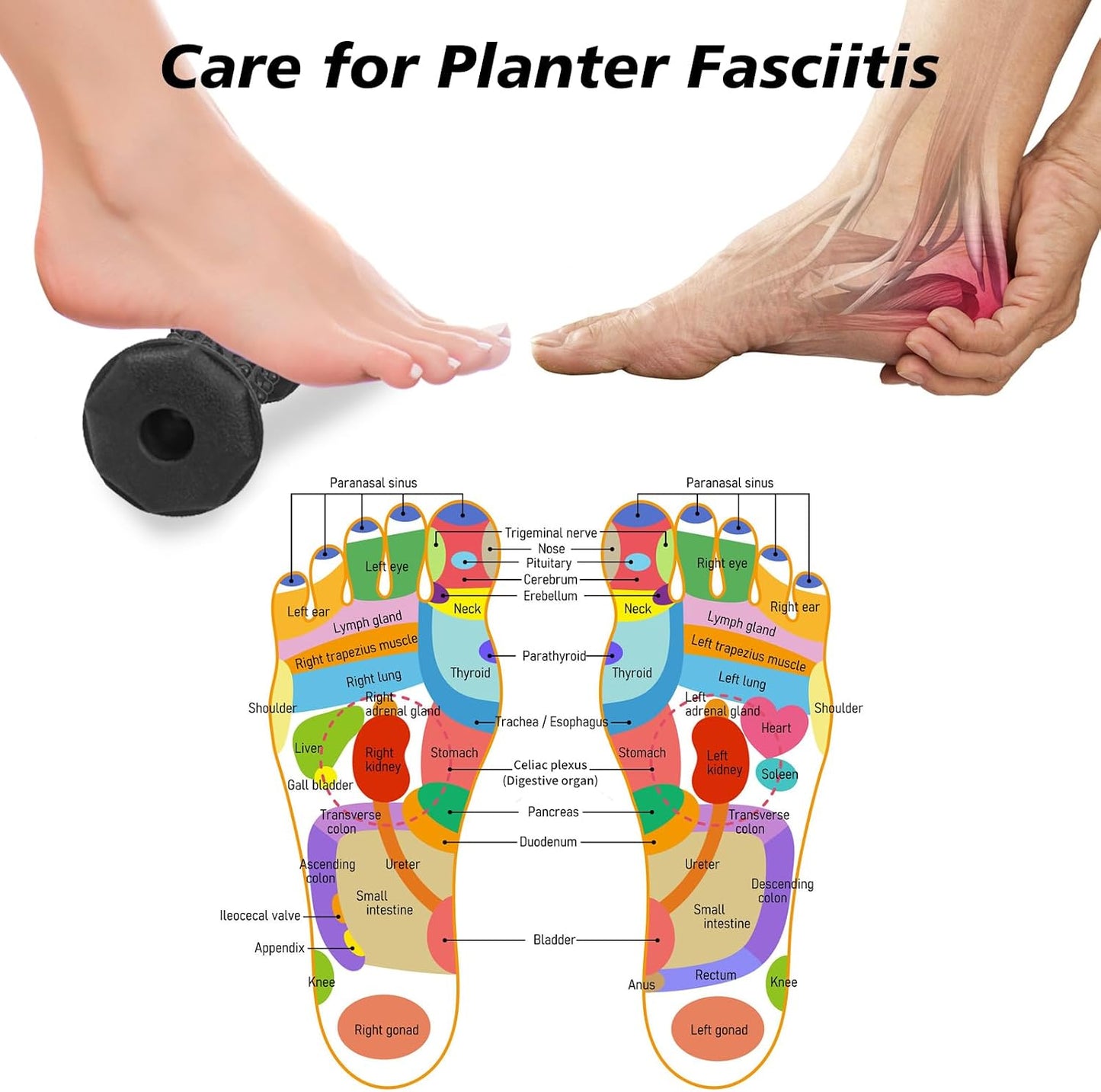 Foot Massager Roller Set for Plantar Fasciitis, Arch and Heel Pain Relief | Includes Foot Roller, lacrosse and spiky massage balls for deep tissue trigger point muscle therapy and neuropathy relief
