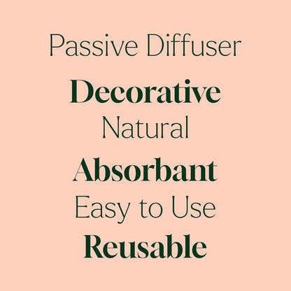 Plant Therapy Lava Rock Passive Diffuser for Essential Oils Great for Decorating at Home, Office or Car, and Gift-Giving