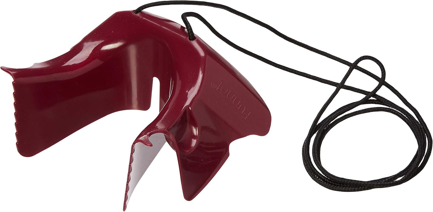 Shoe Horn Funnel (AKA Foot Funnel) Back-Friendly Ergonomic Shoehorn for Hands-Free Shoe Donning, Shoe Horn for Seniors with adjustable lanyard, Made in USA *As seen on TV*