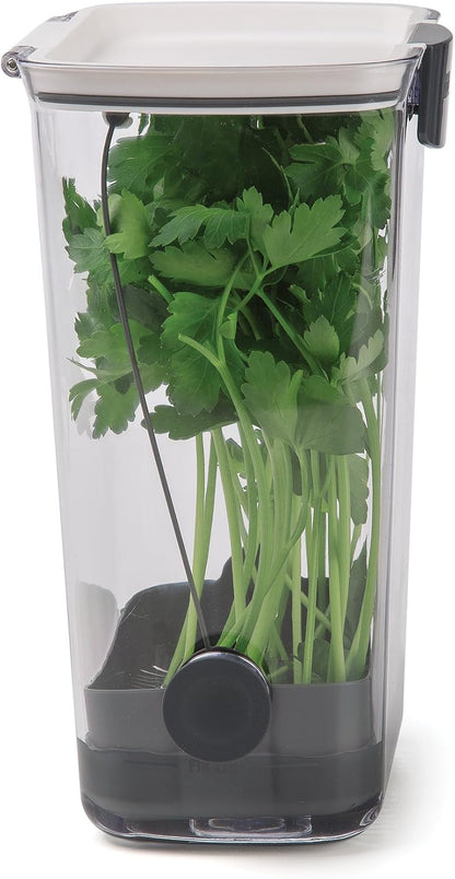 ProKeeper Herb Keeper with Removable Silicone Drain Plug, BPA-Free Plastic | Stores 1 to 3 Bunches Of Herbs Or Keeps Asparagus Hydrated, Removable Basket for Easy Access and Drainage, Dishwasher Safe