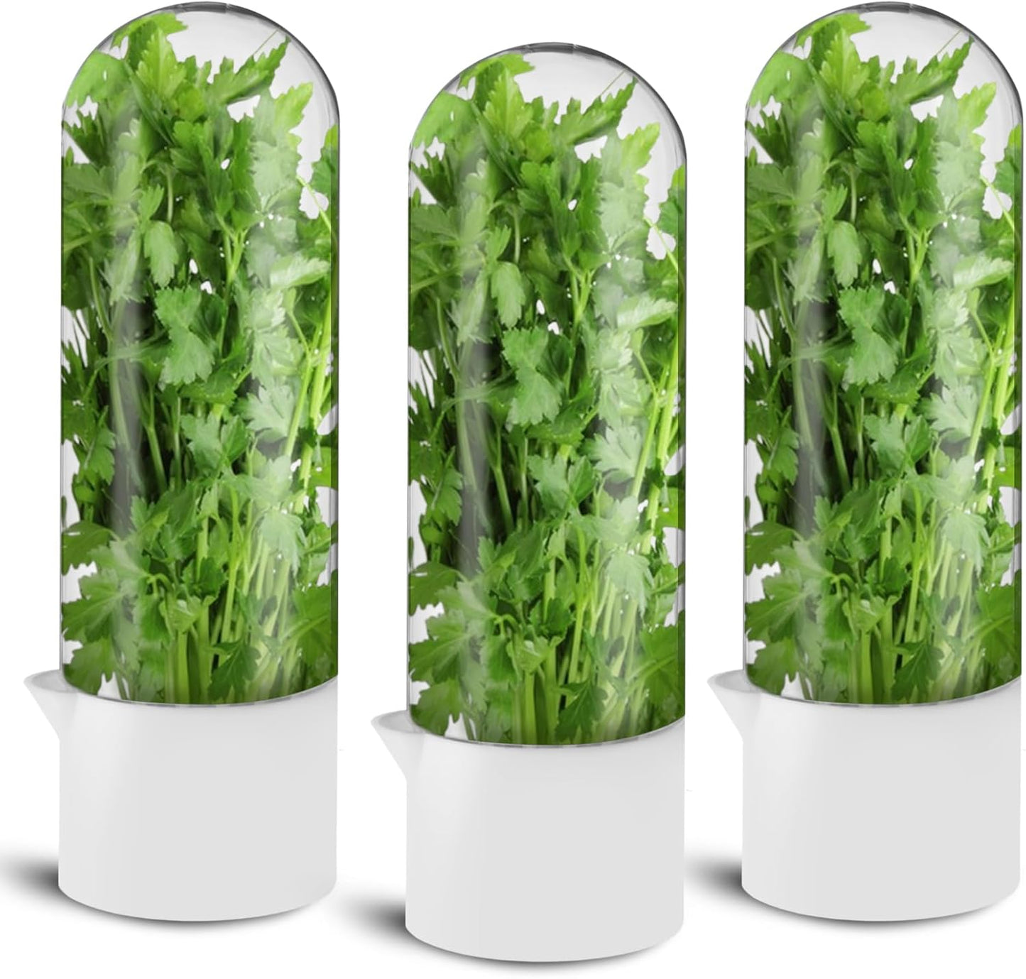 3 Pack Herb Saver for Refrigerator Large Fresh Herb Keeper Cilantro Container for Refrigerator Vegetable Preservation Container for Cilantro Asparagus Mint Rosemary Parsley Basil for 2-3 Weeks