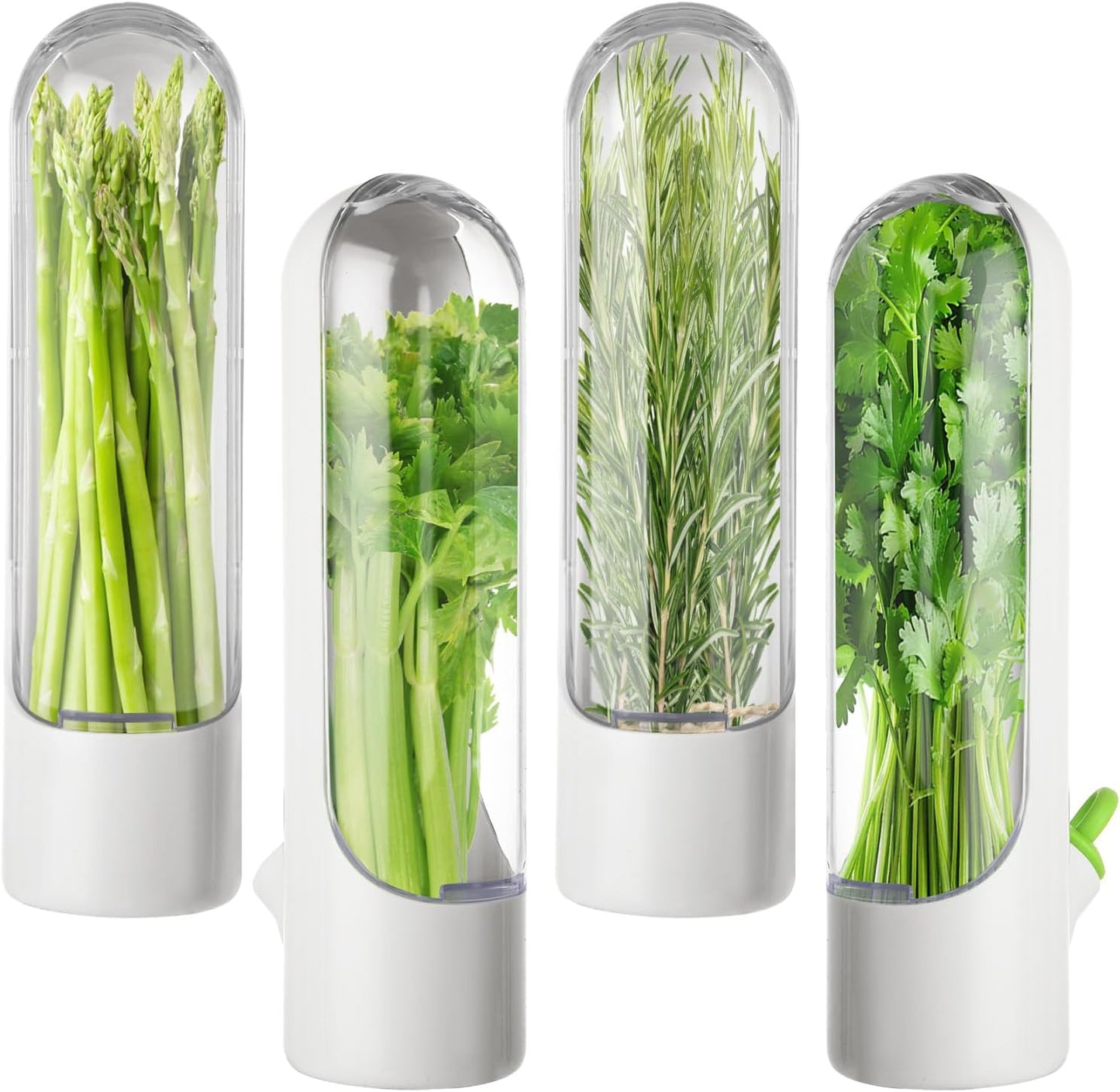 4 PCS Fresh Herb Keeper for Refrigerator, Herb Saver for Refrigerator, Cilantro Containers for Fridge, Herb Storage Containers for Cilantro Asparagus Mint Rosemary Parsley Basil for 2-3 Weeks