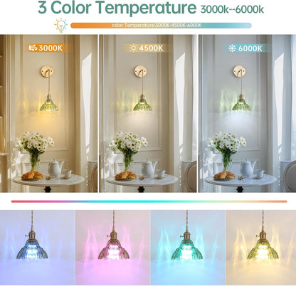 Shenmoyl Battery Operated Wall Sconce Wall Lamp with Green Lily of the Valley Shade Pattern Glass Adjustable Chain Retro Gold Wall Mounted Light, Modern Wall Lamp Fixtures Decor for Bedside Bedroom