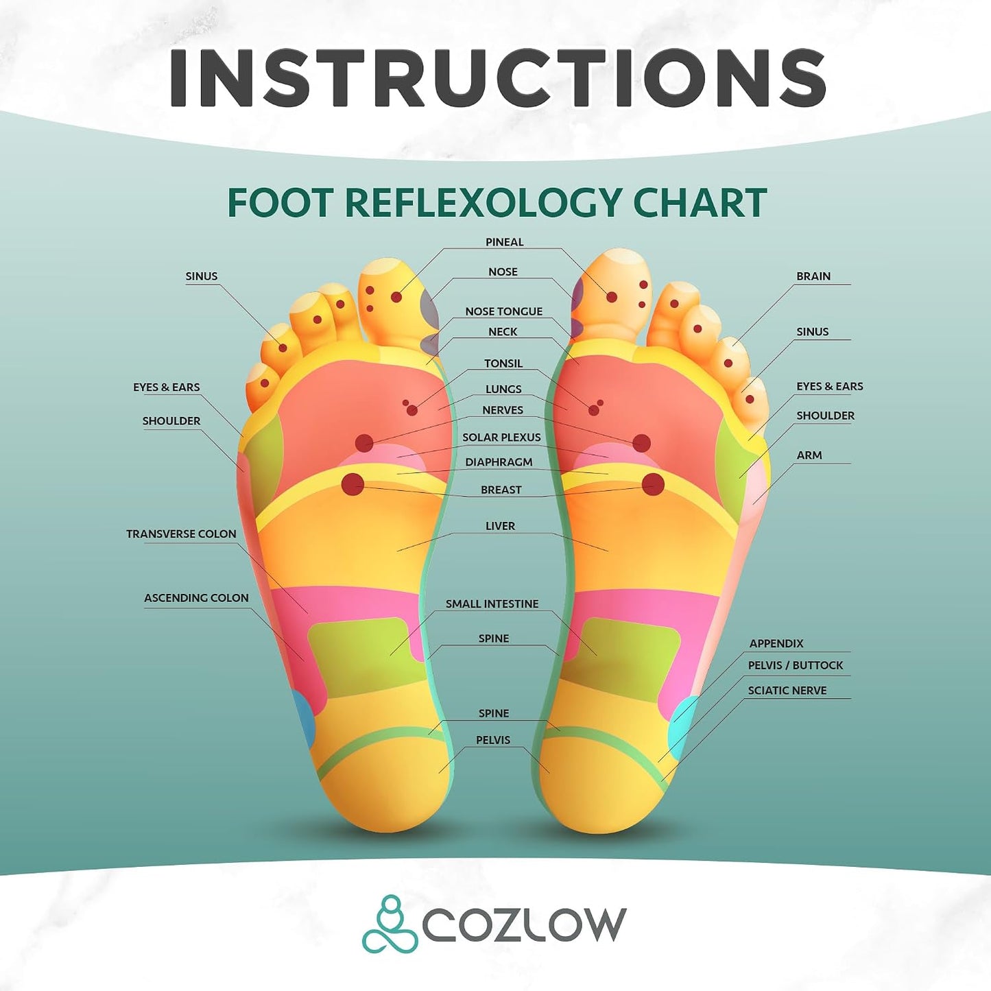 COZLOW - Foot Massager for Plantar Fasciitis Relief - Wooden Massage Roller with Arch Shape Design - Foot Pain Relief, Neuropathy, Heel Spur Pain, Stress Relief, and Relaxation - Muscle Therapy Tool