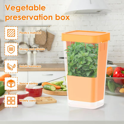Fresh Herb Keeper for Refrigerator, 5.1x4.1x 9.06 in Clear Herb Saver, Fridge Asparagus Container, Fresh Herb Saver, Herb Storage Containers, for Cilantro, Parsley, Thyme, Asparagus(Green)