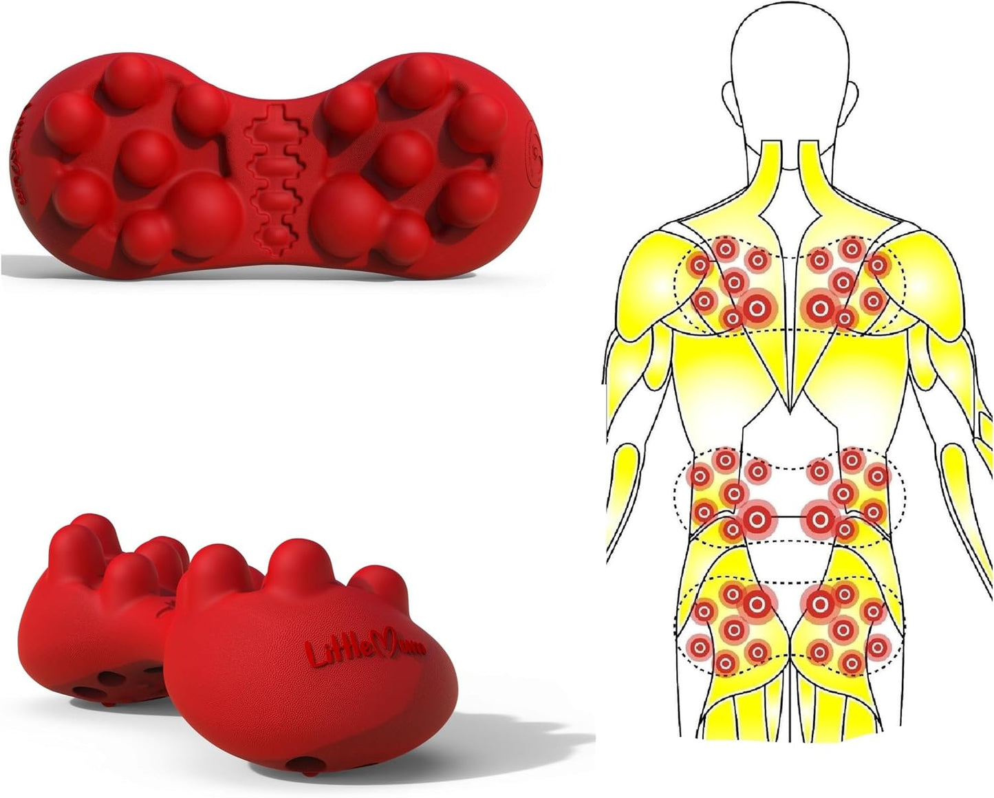 Back & Hip Trigger Point Massager for Piriformis, QL, Buttock and Back Muscle Knots, Myofascial Release Tool for Lower-Back Pain, Tightness, Deep Gluteal Tension