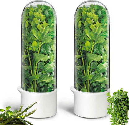 Herb Saver for Refrigerator, Cilantro Container for Fridge, Fresh Herbs Lettuce Keeper for Refrigerator Parsley Mint Leaves Fresh Herb Keeper, Refrigerato Storage for Fresh for 2-3 Weeks