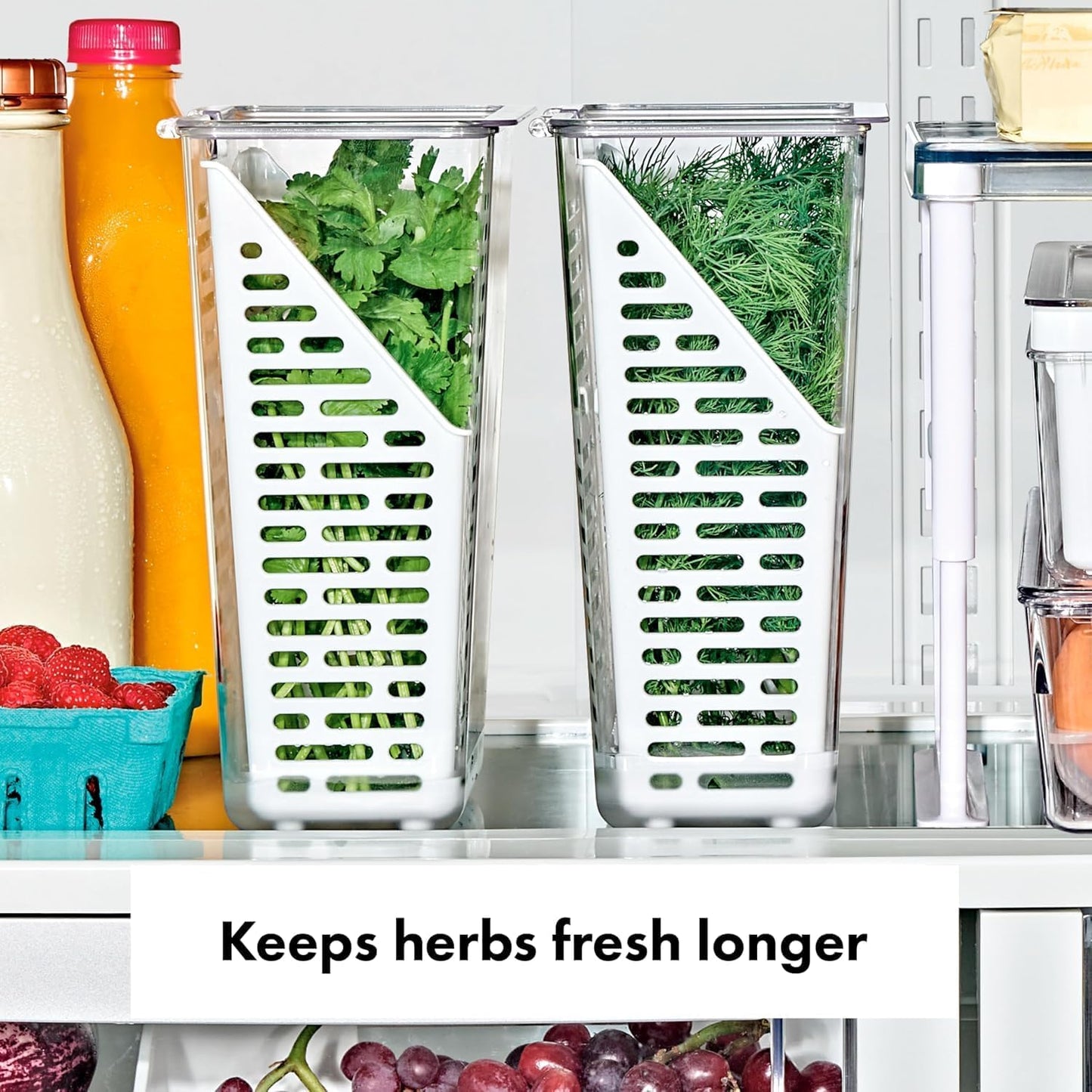 OXO Good Grips Produce Saver - Berry Keeper 2-Piece Set