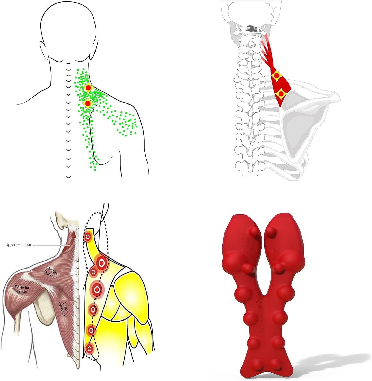 Trapezius Massager, Neck, Shoulder & Upper Back Pain Relief Manual Massager – Trigger Point Tool for Trapezius Tightness, Tension Headaches, Tech-Neck, and Suboccipital Release