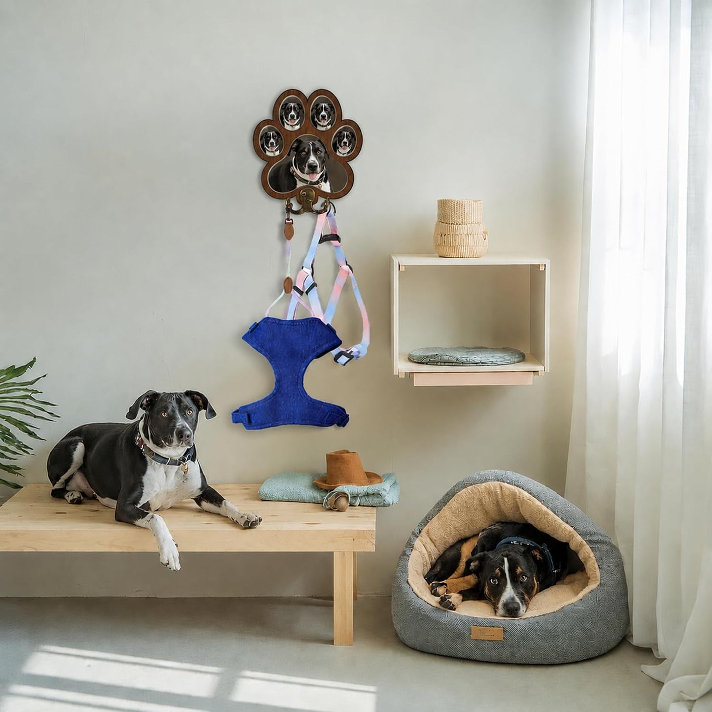 Dog Leash Holder Wall Mount, Pet Harness Hanger with Scrabble Letters, Dog Collar Organizer for Entryway, Memorial Cat Leash Holder for Wall, Pet Loss Gifts, Keepsake, Home Decor PF212-NAT