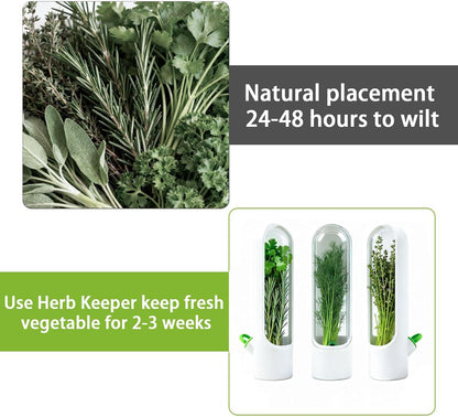 3 Pack Herb Saver for Fridge Cilantro Basil Storage Container | Fresh Herb Keeper with Removable Silicone Drain Plug，Vegetable Preservation Mint Extend Freshness Up to 2-3 Weeks