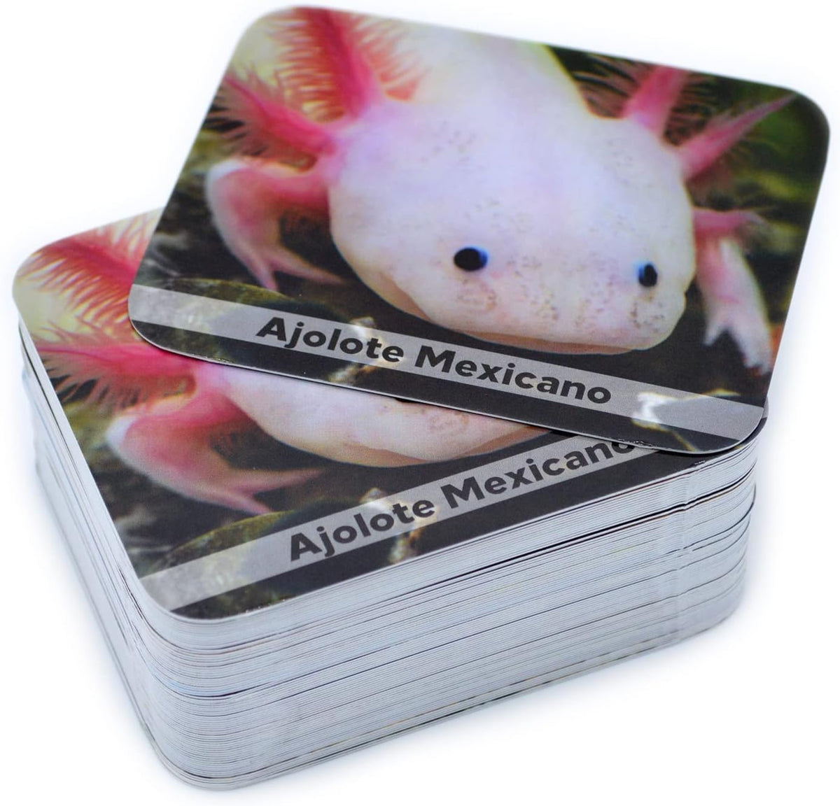Menique Explore the World Memory Matching Game – Geography Game with 100 Photo Cards, 50 Countries, Flags & Landmarks – Travel Card Game with Educational Booklet, Ages 3+
