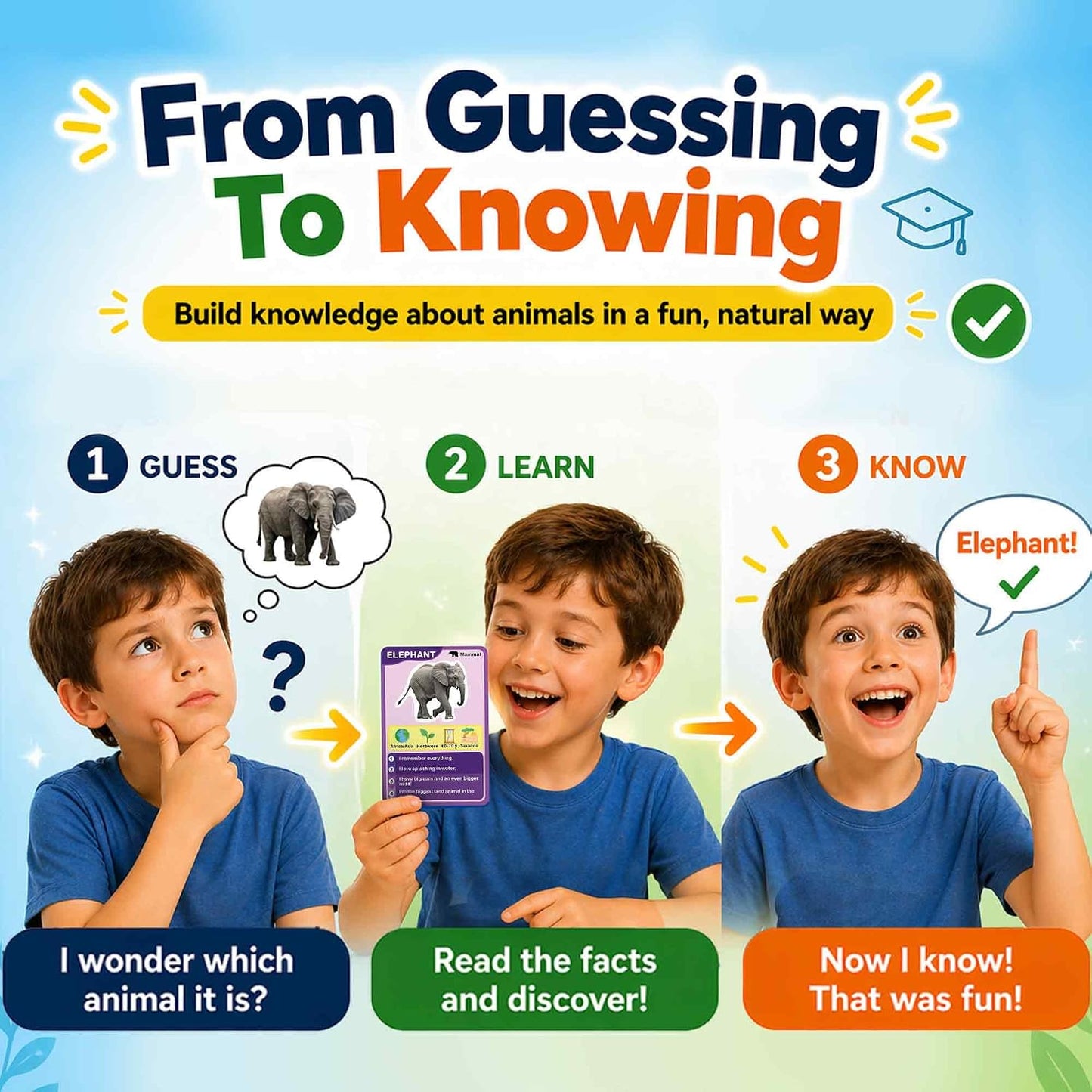 Quokka Who Guess It Better Countries – Educational Game with Visual Clues, Geography Learning Card Set, 50 Cards, Screen-Free Travel Game for Kids Ages 6+