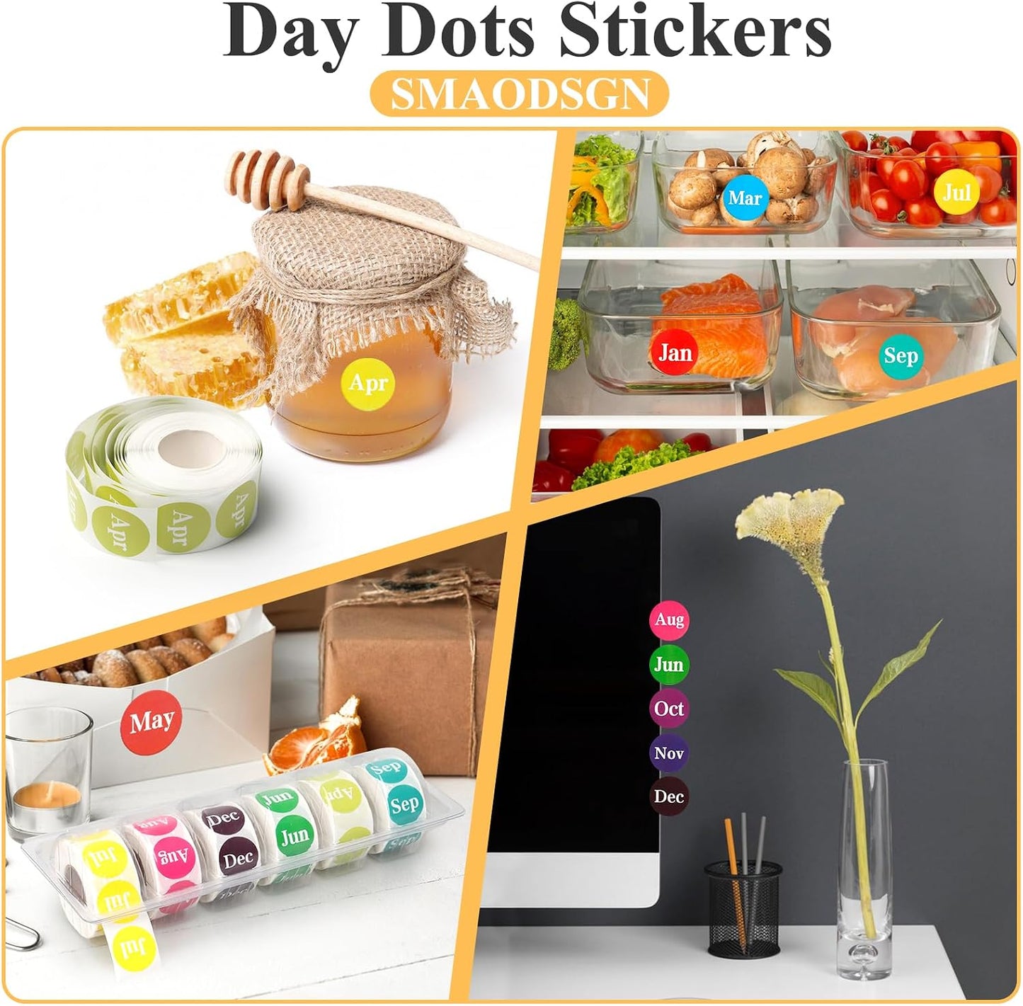 2 Pcs Monthly Label Holder Organizer with 6000 Pcs Round Month Labels Months of The Year Labels Expiration Date Stickers Food Labels Stickers Removable Labels Color Coding Label Stickers