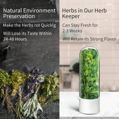 Herb Keeper for Refrigerator, Herb Saver for Refrigerator, Cilantro Container, Vegetable Preservation Bottle for Cilantro, Mint, Parsley, Asparagus, Keeps Greens Fresh for 2-3 Weeks (2PCS)
