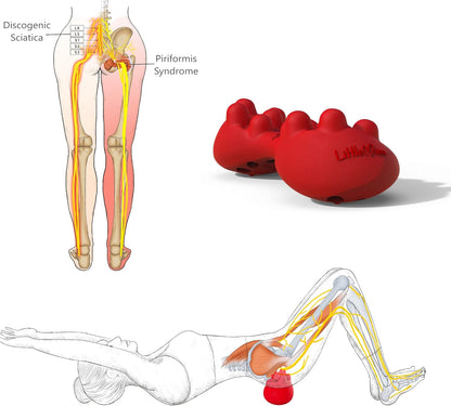 Back & Hip Trigger Point Massager for Piriformis, QL, Buttock and Back Muscle Knots, Myofascial Release Tool for Lower-Back Pain, Tightness, Deep Gluteal Tension