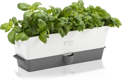 Cole & Mason Fresh Herb Keeper - Acrylic Storage Container for Refrigerator - Storage for Herbs & Vegetables for Fridge - Fresh Herb Keeper