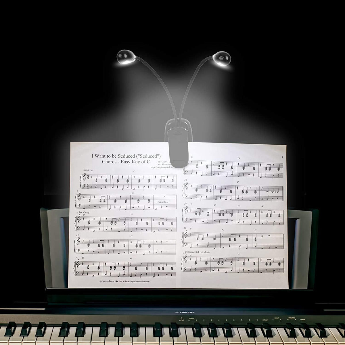 Music Stand Light, 1/2/4/ Clip on LED Book Lights, USB and AAA Battery Operated, Reading Lamp in Bed, 4 Brightness Levels, Ideal for Musician, Piano Player, Sheet Music, Travel (Dual Arm)