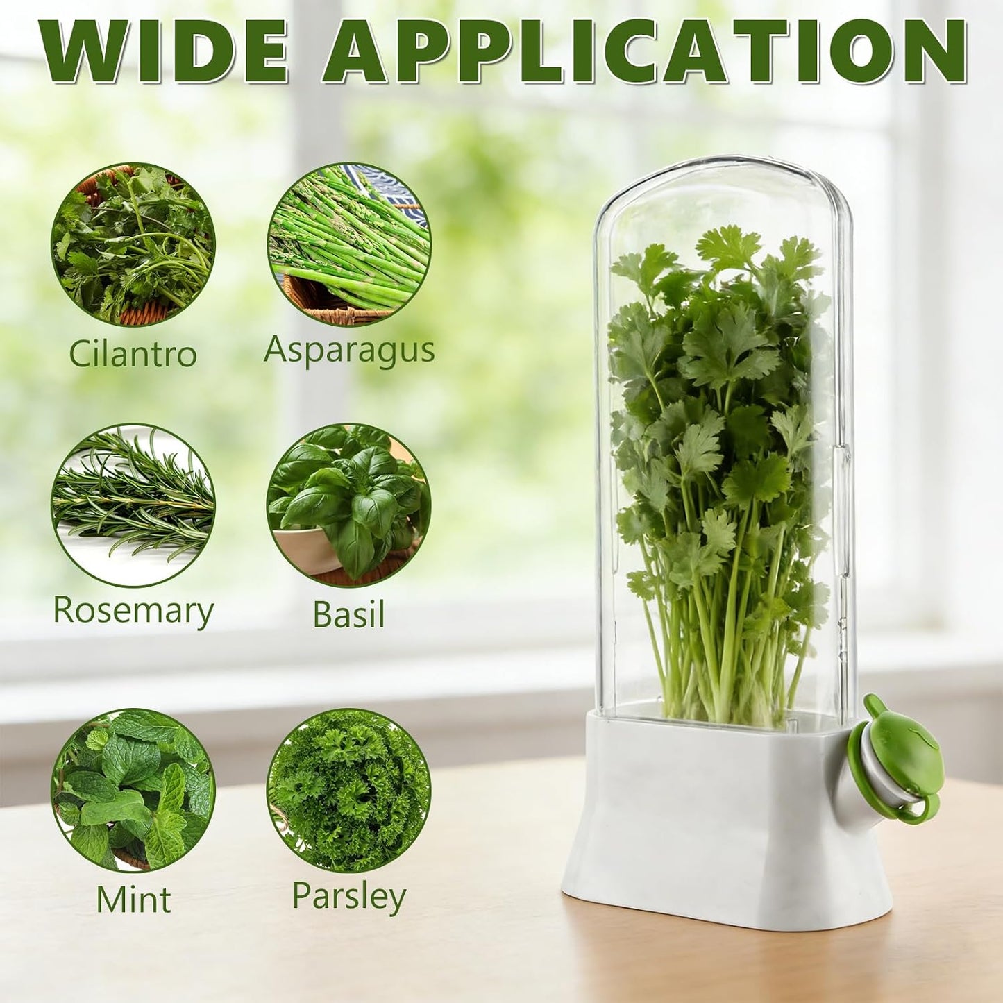 3 PCS Fresh Herb Keeper for Refrigerator, Herb Saver for Refrigerator, Cilantro Containers for Fridge, Herb Storage Containers for Cilantro Asparagus Mint Rosemary Parsley Basil for 2-3 Weeks